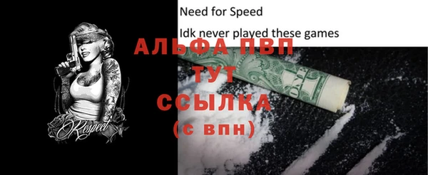 тгк Сатка
