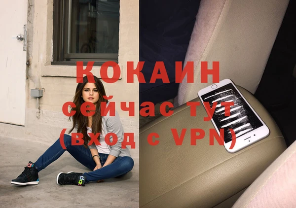 тгк Сатка