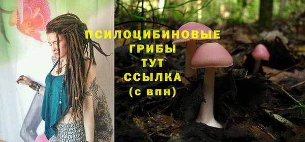 молекула духа Сафоново