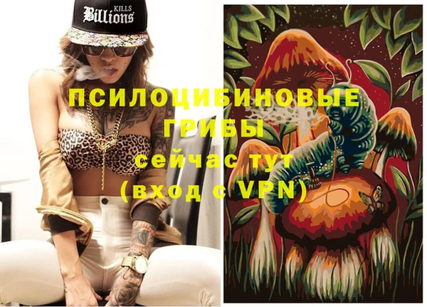 молекула духа Сафоново