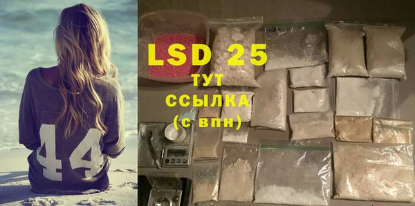 тгк Сатка