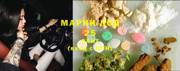 тгк Сатка