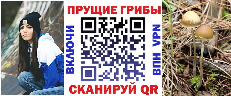 Галлюциногенные грибы Cubensis  Ступино 