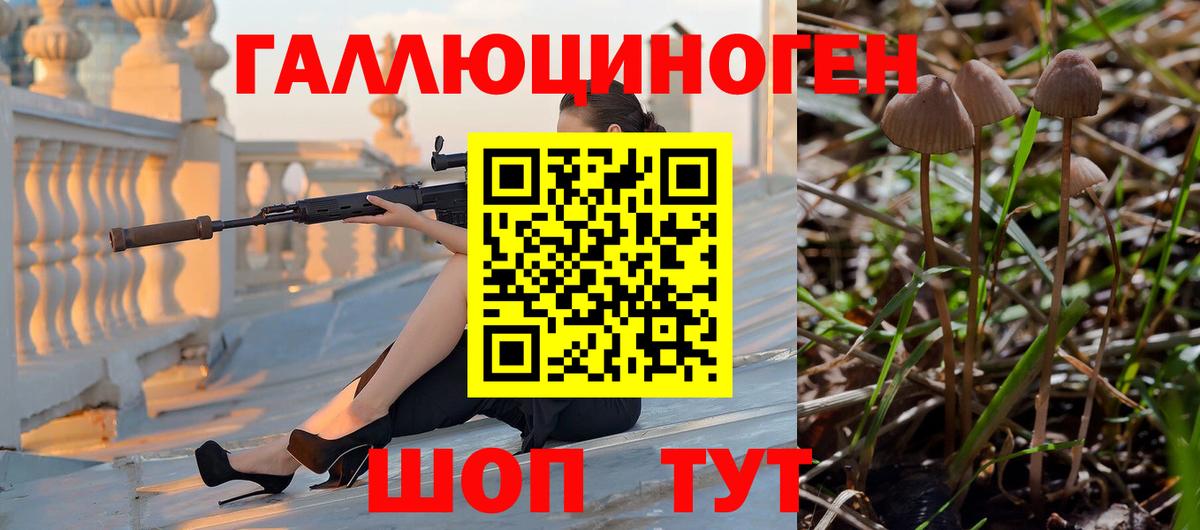 Галлюциногенные грибы Psilocybine cubensis Ступино